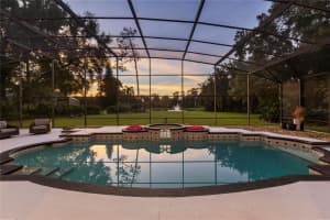 256 NEW GATE LOOP, LAKE MARY, FL 32746 - MLS#MFRO6245690