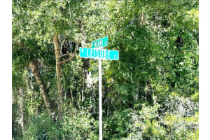 10045 MIAMI TERRACE, DUNNELLON, FL 34433 - MLS#MFRO6245856