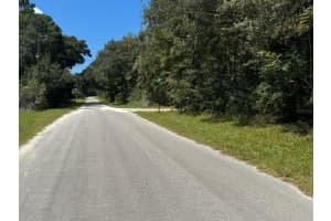 10045 MIAMI TERRACE, DUNNELLON, FL 34433 - MLS#MFRO6245856