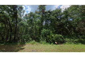MLS# MFRO6246032, Hernando, Florida 34442