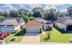 668 WHITETAIL LOOP, APOPKA, FL 32703 Sold 12/11/24
