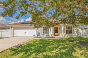 703 LEONARDO COURT, KISSIMMEE, FL 34758 Sold 04/30/25