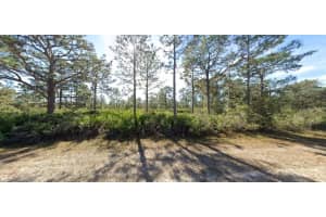 919 LAGUNA DRIVE, INDIAN LAKE ESTATES, FL 33855 - MLS#MFRO6246991