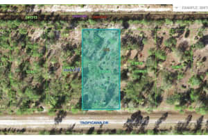 518 TROPICANA DRIVE, INDIAN LAKE ESTATES, FL 33855 - MLS#MFRO6246992