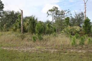 Lot 12 158 TH COURT, OCALA, FL 34481 - MLS#MFRO6247160