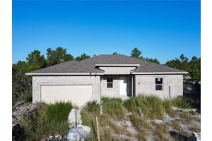 619 ALAFIA PLACE, POINCIANA, FL 34759 - MLS#MFRO6247276
