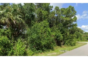 NASHVILLE RD, NORTH PORT, FL 34288 - MLS#MFRO6247649