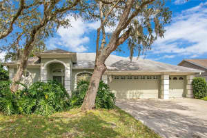 5415 WINDBRUSH DRIVE, TAMPA, FL 33625 Sold 11/26/24