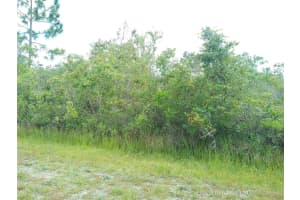 309 CAMELLIA DRIVE, INDIAN LAKE ESTATES, FL 33855 - MLS#MFRO6247801