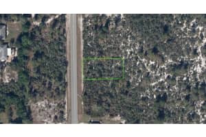 411 HALLMARK AVENUE, LAKE PLACID, FL 33852 - MLS#MFRO6247805