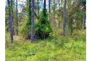 LOT 16 NW SUMMERFIELD AVE, DUNNELLON, FL 34431 Sold 01/10/25