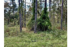 LOT 16 NW SUMMERFIELD AVE, DUNNELLON, FL 34431 Sold 01/10/25