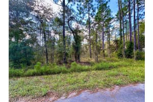 LOT 16 NW SUMMERFIELD AVE, DUNNELLON, FL 34431 Sold 01/10/25
