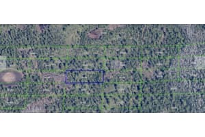 DILL RD, ORLANDO, FL 32820 - MLS#MFRO6247900