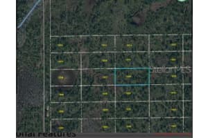 DILL RD, ORLANDO, FL 32820 - MLS#MFRO6247900