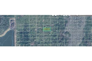 DILL RD, ORLANDO, FL 32820 - MLS#MFRO6247902