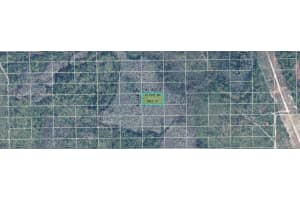 DILL RD, ORLANDO, FL 32820 - MLS#MFRO6247905