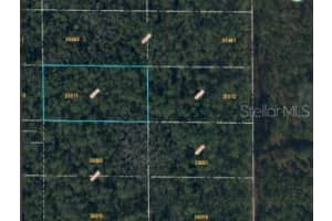 DILL RD, ORLANDO, FL 32820 - MLS#MFRO6247907