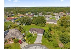 311 ALENCON WAY, KISSIMMEE, FL 34759 Sold 03/17/25