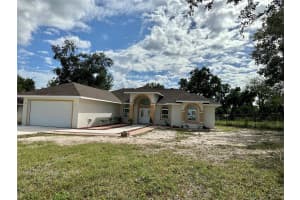 17271 PEGGY AVE. AVENUE, MOUNT DORA, FL 32757 - MLS#MFRO6247978