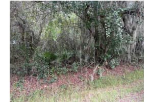 BAHAMA ST, LAKE WALES, FL 33898 - MLS#MFRO6248002