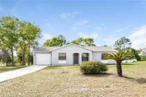 12454 SEAGATE STREET, SPRING HILL, FL 34609 - MLS#MFRO6248017