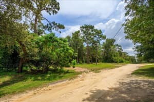1259 WADE ROAD, APOPKA, FL 32712 Sold 04/08/25