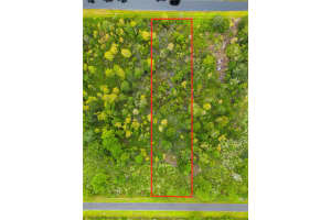 20502 SHELDON STREET, ORLANDO, FL 32833 - MLS#MFRO6248475