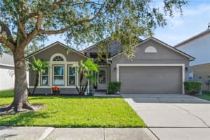 5041 SILVER THISTLE LANE, SAINT CLOUD, FL 34772 Sold 12/10/24