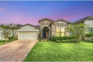 9287 CHANDLER DRIVE, GROVELAND, FL 34736 Sold 01/07/25