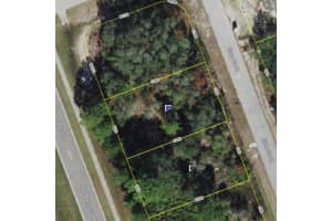 1539 ELOISE COURT, POINCIANA, FL 34759 - MLS#MFRO6248688