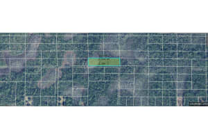 DILL RD, ORLANDO, FL 32820 - MLS#MFRO6248788