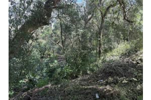 E MINNEOLA AVE, CLERMONT, FL 34711 - MLS#MFRO6248790