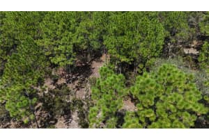 Lot 33 NEPTUNE BOULEVARD, DUNNELLON, FL 34431 - MLS#MFRO6248836