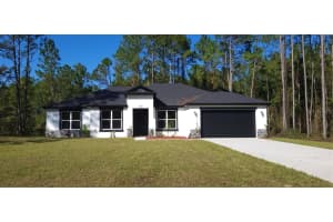 4115 Swamp Deer Rd, NEW SMYRNA BEACH