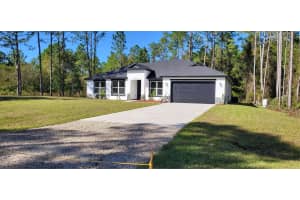 4115 SWAMP DEER ROAD, NEW SMYRNA BEACH, FL 32168 - MLS#MFRO6248899
