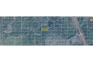 DILL RD, ORLANDO, FL 32820 - MLS#MFRO6248965