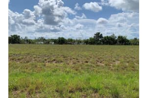 38 MACAW DRIVE, PLACIDA, FL 33946 - MLS#MFRO6249275