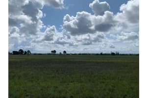 12 SAPSUCKER DRIVE, PLACIDA, FL 33946 - MLS#MFRO6249277