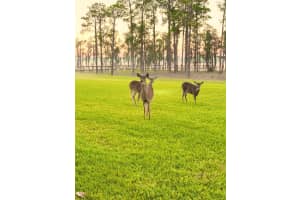 10323 KENSINGTON SHORE DRIVE, ORLANDO, FL 32827 Sold 03/31/25