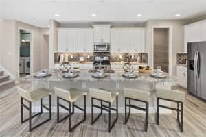 9179 BREEZE MIST TERRACE, KISSIMMEE, FL 34747 Sold 06/26/25