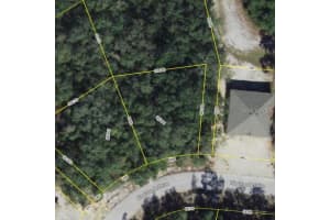 507 RIO GRANDE DRIVE, KISSIMMEE, FL 34759 - MLS#MFRO6249538