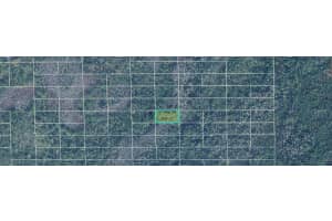 DILL RD, ORLANDO, FL 32820 - MLS#MFRO6249650