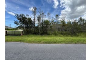 WEMBLEY AVE, ORLANDO, FL 32833 - MLS#MFRO6249979