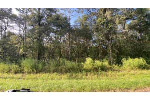 3683 BAXLEY PLACE, INVERNESS, FL 34453 Sold 04/17/25