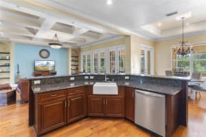 9123 TOWER PINE DRIVE, WINTER GARDEN, FL 34787 Sold 12/18/24