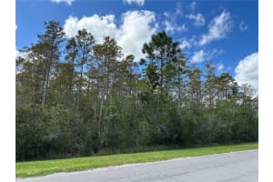 WEMBLEY AVE, ORLANDO, FL 32833 - MLS#MFRO6251032