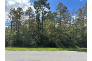 WEMBLEY AVE, ORLANDO, FL 32833 - MLS#MFRO6251032