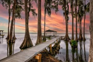 2256 W COUNTY ROAD 44, EUSTIS, FL 32726 Sold 03/27/25