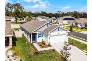 5585 BRAKEN FERN WAY, LEESBURG, FL 34748 Sold 02/14/25